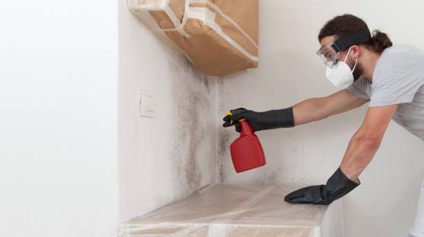 Professional Mold Inspection And Testing technician working in Woodstock, IL